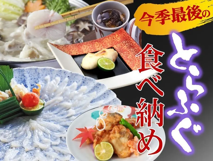 国産とらふぐ食べ納め